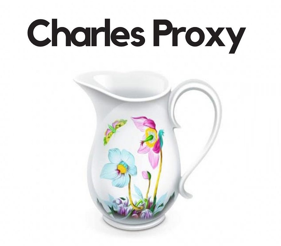 Charles Proxy 5 <span dir="ltr" class="cl-ltr">Charles Proxy 5</span> - تصویر 1