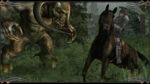 <span dir="ltr" class="cl-ltr">Two Worlds Epic Edition</span> - تصویر 2